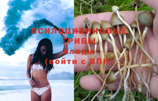 таблы Алексеевка