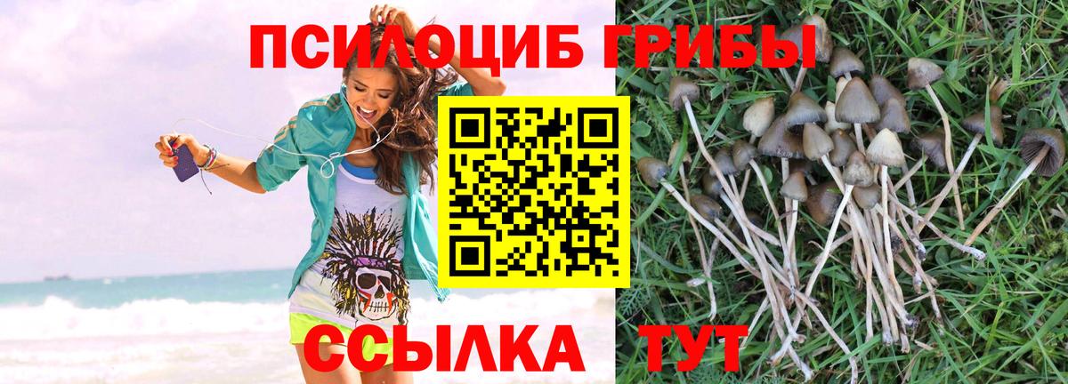 Галлюциногенные грибы Magic Shrooms  Вход с VPN  Камышлов 