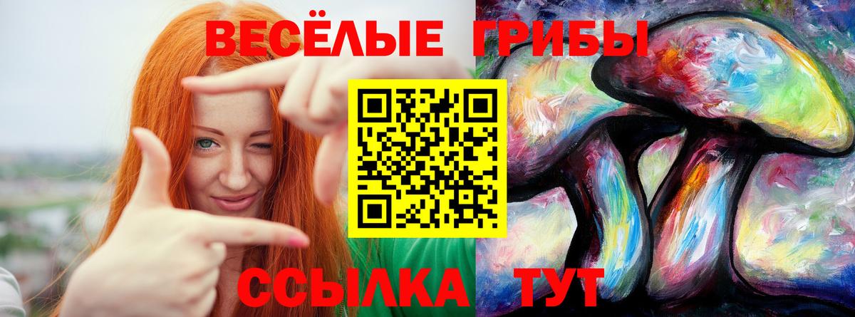 Галлюциногенные грибы прущие грибы Камышлов